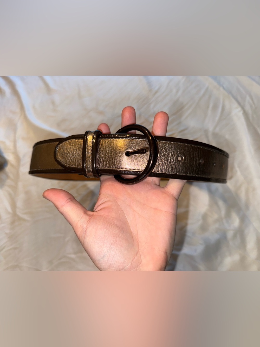 Fossil belt